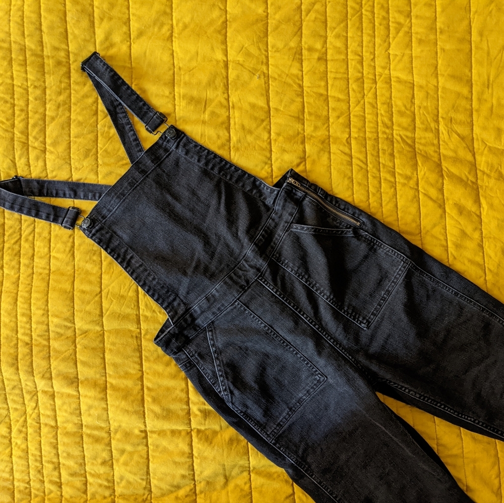 Madewell Skinny Overalls - Lunar Wash